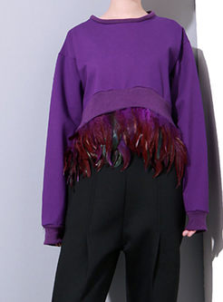 Solid Color Asymmetric Loose Sweatshirt With Feathers