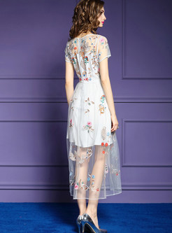 Mesh Perspective Embroidered Waist A Line Dress