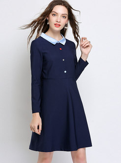Brief Blue Turn-down Collar Buttoned Skater Dress