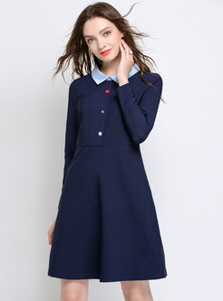 Brief Blue Turn-down Collar Buttoned Skater Dress