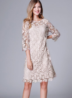 Pure Color O-neck Perspective Lace Dress