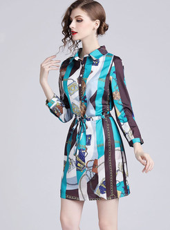 Stylish Lapel Long Sleeve Elastic Waist Print Dress
