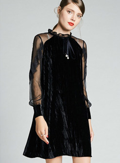 Fashion Standing Collar Perspective Lace Sleeve Velvet Dress