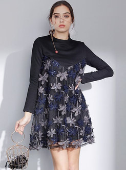 Chic Mesh Splicing Embroidered Long Sleeve Mini Dress