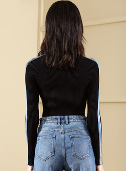 Brief Standing Collar Slim Bottoming Sweater