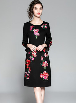 Brief Embroidered Skinny A Line Autumn Dress