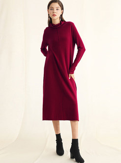 Brief Turtle Neck Loose Pullover Knitted Dress