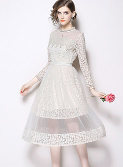 Fashion Lace Paneled Hollow Out Dress & Perspective Mesh Skirt