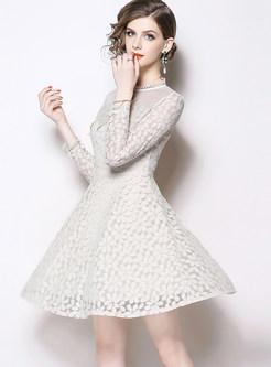 Fashion Lace Paneled Hollow Out Dress & Perspective Mesh Skirt