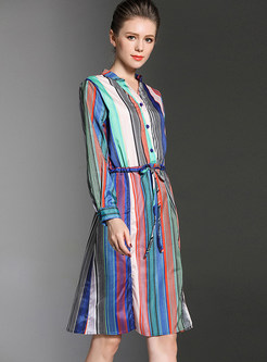 Stylish Multi-color Vertical Striped Skater Dress