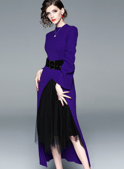 Elegant Flare Sleeve Tied Split Long Top & Gauze Velvet Skirt