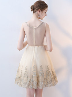 Stylish Sleeveless Lace Short Party Dress