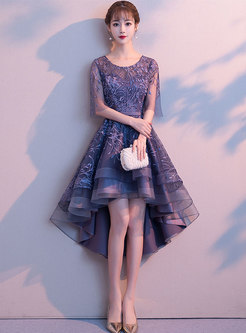 Elegant Party V-neck Slim Asymmetric Embroidered Dress