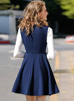 Stylish Stitching Hit Color Long Sleeve A Line Dress