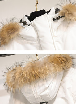 Winter Color-blocked Hooded Fur Collar Thick Coat