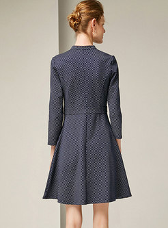 Fashion Crew-neck Long Sleeve Dots A Line Skinny Dress