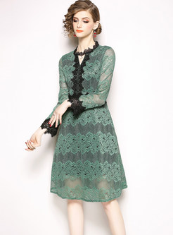 V-neck Long Sleeve Hollow Out Lace Skater Dress