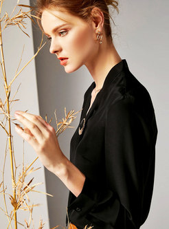 Stylish Black V-neck Long Sleeve Pullover Blouse