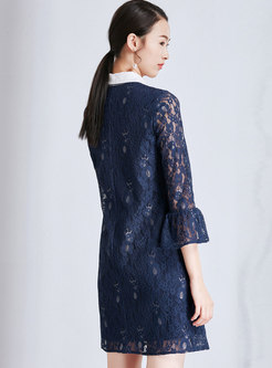 Elegant Lapel Flare Sleeve Shift Lace Dress