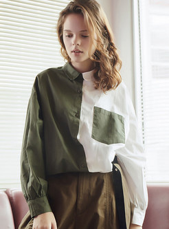 Brief Color-blocked Lapel Long Sleeve Loose Blouse