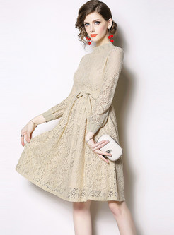 Brief Solid Color Long Sleeve Waist Lace Dress