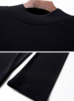 Black Mesh Long Sleeve Semi-sheer Elastic Top