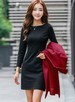 Crew Neck Long Sleeve Bodycon Knitted Dress