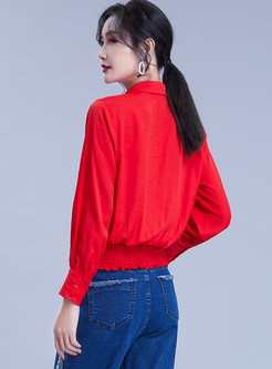 Solid Color Turn Down Collar Long Sleeve Ribbon Blouse