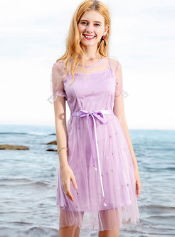 Purple Embroidery Mesh Belt A Line Dress