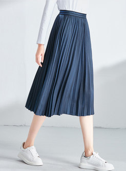 Elastic Waist Pleated A Line Skirt
