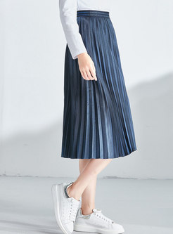 Elastic Waist Pleated A Line Skirt