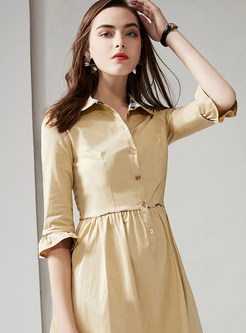 Solid Color Single-breasted Waist Skater Dress