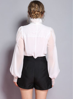 Stand Collar Lantern Sleeve Single-breasted Blouse