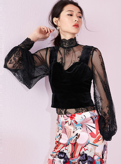 Sexy Lace Stand Collar Lantern Sleeve Blouse