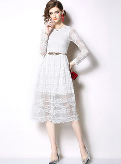 Solid Color Long Sleeve Lace Skater Dress