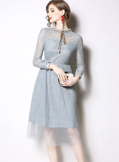 Sweet Perspective Bowknot Mesh Lace Dress