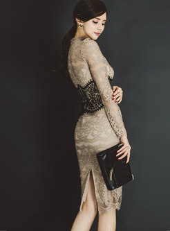 Long Sleeve Sheer Lace Bodycon Dress
