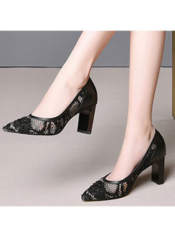 Fashion Pointed Head Lace Mesh Shoes
