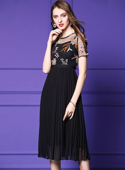 Elegant Perspenctive Embroidered Pleated Dress