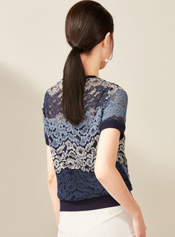 Brief Hollow Out Lace Short Sleeve Top