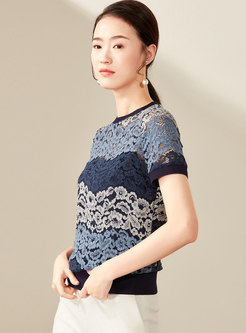 Brief Hollow Out Lace Short Sleeve Top