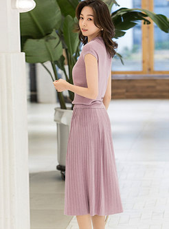 Stand Collar Slim Knitted Top & Pleated Skirt
