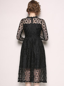 Sexy Lace Stand Collar Perspective A Line Dress