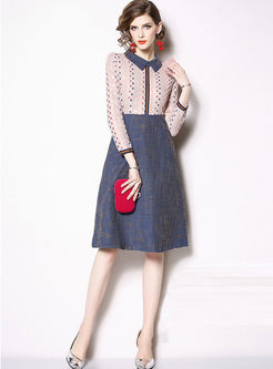Color-blocked Long Sleeve A Line Lace Dress