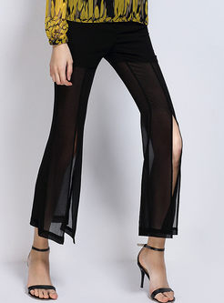 Brief Solid Color Slit Perspective Flare Pants