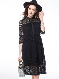 Sexy Lace Stand Collar Hollow Out A Line Dress