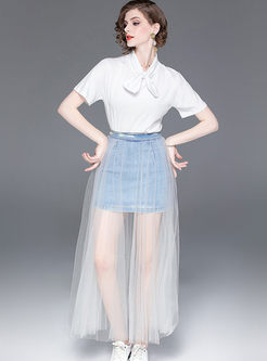 Brief Solid Color T-shirt & Mesh Denim Skirt