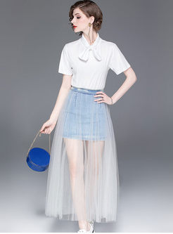 Brief Solid Color T-shirt & Mesh Denim Skirt