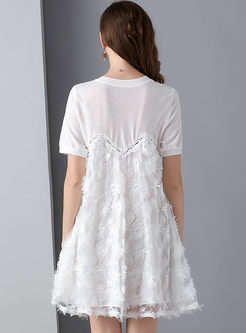 White Short Sleeve Hollow Out Mesh Dress