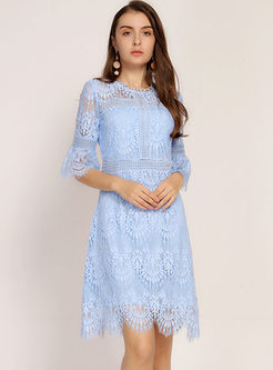 Stylish Half Sleeve Lace Hollow Out Dress